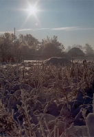 Winter 1996
